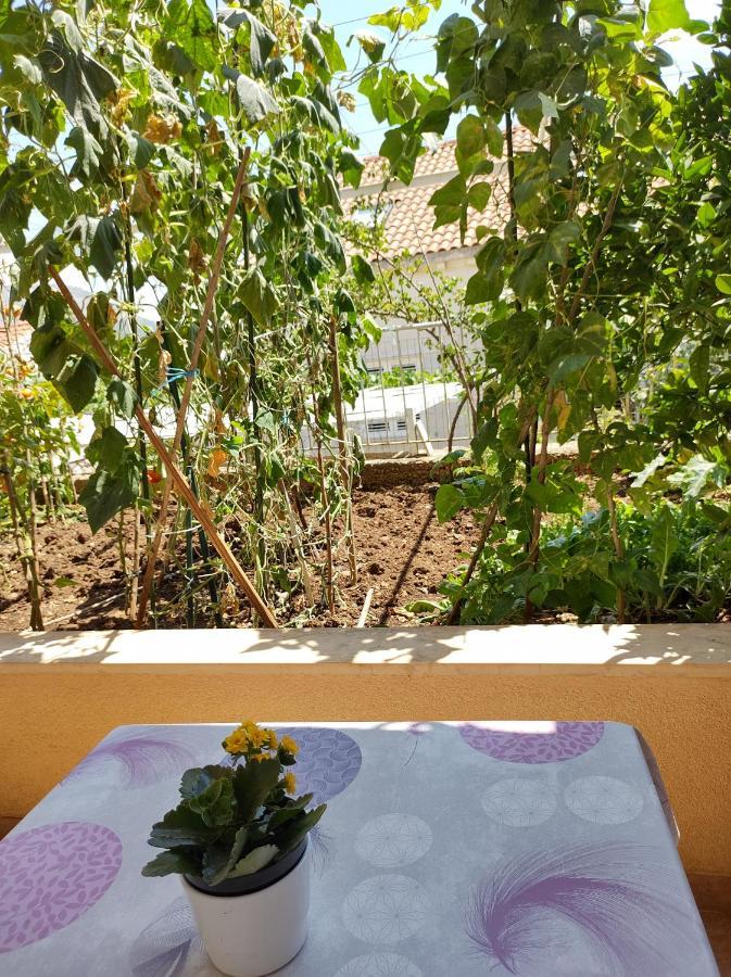Guesthouse Anna Dubrovnik Dış mekan fotoğraf